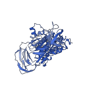 4700_6r0y_B_v1-3
Thermus thermophilus V/A-type ATPase/synthase, rotational state 3