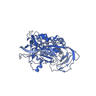 4700_6r0y_C_v1-3
Thermus thermophilus V/A-type ATPase/synthase, rotational state 3