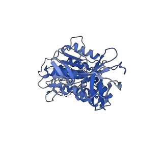 4700_6r0y_D_v1-3
Thermus thermophilus V/A-type ATPase/synthase, rotational state 3
