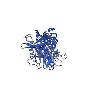 4700_6r0y_E_v1-3
Thermus thermophilus V/A-type ATPase/synthase, rotational state 3