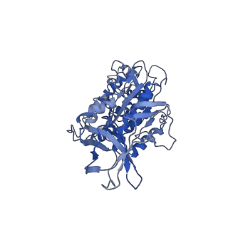 4700_6r0y_F_v1-3
Thermus thermophilus V/A-type ATPase/synthase, rotational state 3