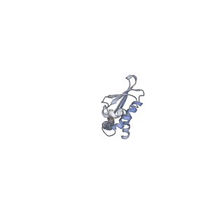 4700_6r0y_J_v1-3
Thermus thermophilus V/A-type ATPase/synthase, rotational state 3