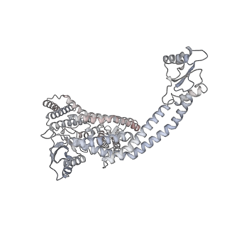 4700_6r0y_N_v1-3
Thermus thermophilus V/A-type ATPase/synthase, rotational state 3