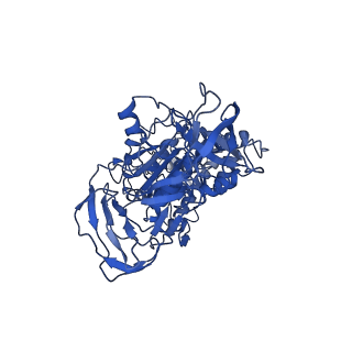 4702_6r0z_B_v1-3
Thermus thermophilus V/A-type ATPase/synthase, rotational state 1L