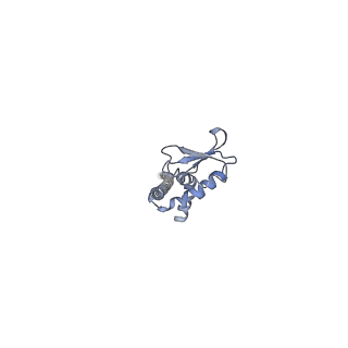 4702_6r0z_J_v1-3
Thermus thermophilus V/A-type ATPase/synthase, rotational state 1L