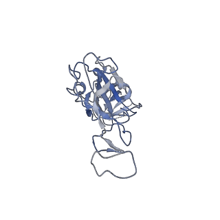 14227_7r11_A_v1-1
Dissociated S1 domain of Beta Variant SARS-CoV-2 Spike bound to ACE2 (Non-Uniform Refinement)