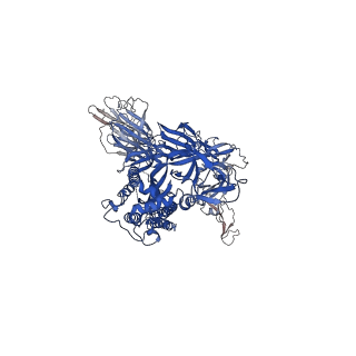 14234_7r18_A_v1-1
Mink Variant SARS-CoV-2 Spike in Closed conformation
