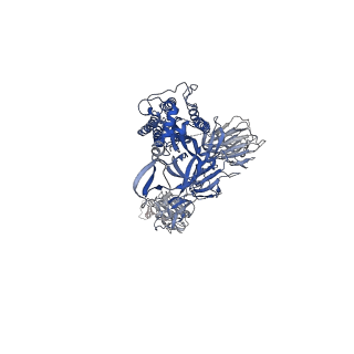 14236_7r1a_A_v1-1
Furin Cleaved Alpha Variant SARS-CoV-2 Spike in complex with 3 ACE2