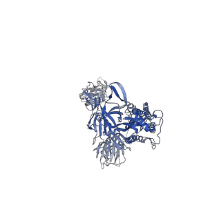 14236_7r1a_B_v1-1
Furin Cleaved Alpha Variant SARS-CoV-2 Spike in complex with 3 ACE2