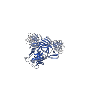14236_7r1a_C_v1-1
Furin Cleaved Alpha Variant SARS-CoV-2 Spike in complex with 3 ACE2