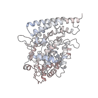 14236_7r1a_D_v1-1
Furin Cleaved Alpha Variant SARS-CoV-2 Spike in complex with 3 ACE2