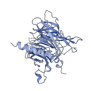 14239_7r1d_A_v1-1
Structure of MuvB complex