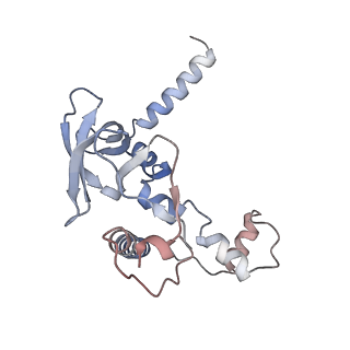 14239_7r1d_C_v1-1
Structure of MuvB complex