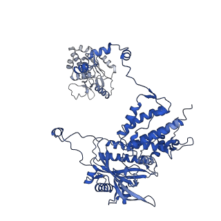 14240_7r1f_A_v1-1
Early transcription elongation state of influenza B polymerase backtracked due to double incoproation of nucleotide analogue T1106
