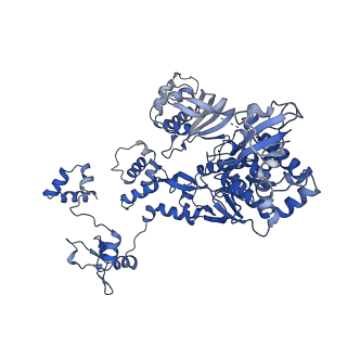 14240_7r1f_C_v1-1
Early transcription elongation state of influenza B polymerase backtracked due to double incoproation of nucleotide analogue T1106