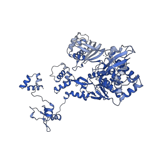 14240_7r1f_C_v2-0
Early transcription elongation state of influenza B polymerase backtracked due to double incoproation of nucleotide analogue T1106