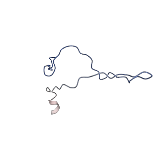 14242_7r1w_C_v1-2
E. coli BAM complex (BamABCDE) bound to dynobactin A