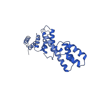 14242_7r1w_D_v1-2
E. coli BAM complex (BamABCDE) bound to dynobactin A