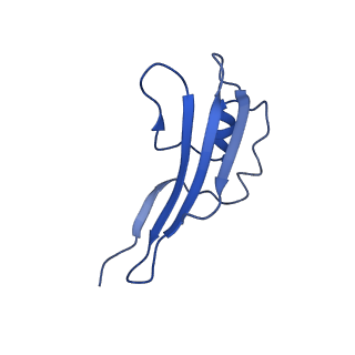 14242_7r1w_E_v1-2
E. coli BAM complex (BamABCDE) bound to dynobactin A