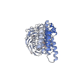 14243_7r1y_A_v1-1
cryoEM structure of human Nup155 (residues 19-981)