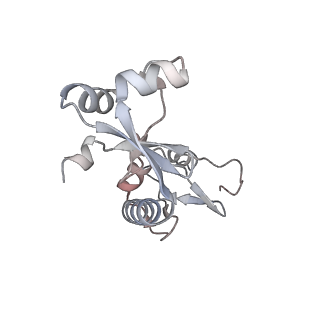 18810_8r1g_E_v1-0
Dimeric ternary structure of E6AP-E6-p53