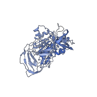 4703_6r10_B_v1-3
Thermus thermophilus V/A-type ATPase/synthase, rotational state 1R