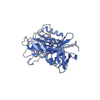 4703_6r10_D_v1-3
Thermus thermophilus V/A-type ATPase/synthase, rotational state 1R