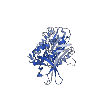 4703_6r10_F_v1-3
Thermus thermophilus V/A-type ATPase/synthase, rotational state 1R