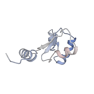 4703_6r10_H_v1-3
Thermus thermophilus V/A-type ATPase/synthase, rotational state 1R