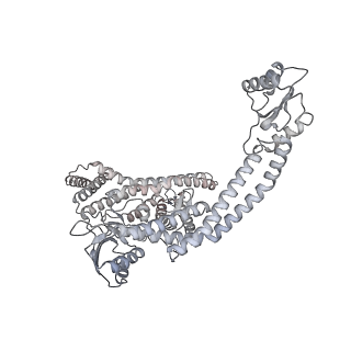 4703_6r10_N_v1-3
Thermus thermophilus V/A-type ATPase/synthase, rotational state 1R