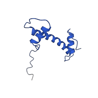 4704_6r1t_B_v1-0
Structure of LSD2/NPAC-linker/nucleosome core particle complex: Class 1, free nuclesome