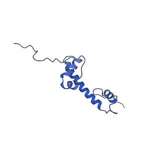 4704_6r1t_C_v1-0
Structure of LSD2/NPAC-linker/nucleosome core particle complex: Class 1, free nuclesome