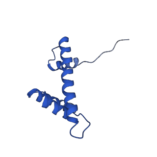 4704_6r1t_D_v1-0
Structure of LSD2/NPAC-linker/nucleosome core particle complex: Class 1, free nuclesome