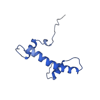 4704_6r1t_F_v1-0
Structure of LSD2/NPAC-linker/nucleosome core particle complex: Class 1, free nuclesome