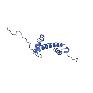 4704_6r1t_G_v1-0
Structure of LSD2/NPAC-linker/nucleosome core particle complex: Class 1, free nuclesome
