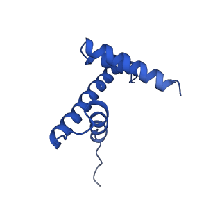 4704_6r1t_H_v1-0
Structure of LSD2/NPAC-linker/nucleosome core particle complex: Class 1, free nuclesome