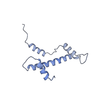 4705_6r1u_E_v1-1
Structure of LSD2/NPAC-linker/nucleosome core particle complex: Class 2