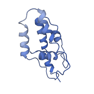 14244_7r21_A_v1-0
elongated Cascade complex from type I-A CRISPR-Cas system