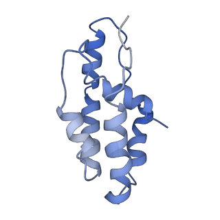 14244_7r21_D_v1-0
elongated Cascade complex from type I-A CRISPR-Cas system