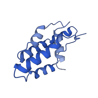 14244_7r21_F_v1-0
elongated Cascade complex from type I-A CRISPR-Cas system
