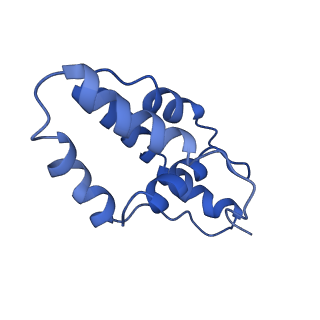 14244_7r21_H_v1-0
elongated Cascade complex from type I-A CRISPR-Cas system