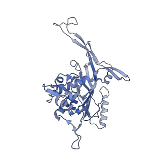 14244_7r21_I_v1-0
elongated Cascade complex from type I-A CRISPR-Cas system