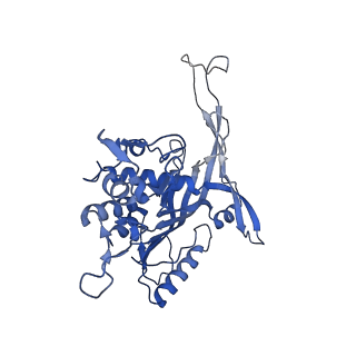 14244_7r21_J_v1-0
elongated Cascade complex from type I-A CRISPR-Cas system