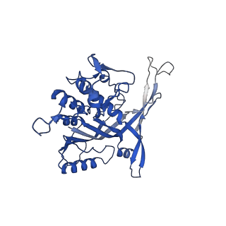 14244_7r21_K_v1-0
elongated Cascade complex from type I-A CRISPR-Cas system