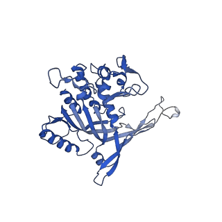 14244_7r21_L_v1-0
elongated Cascade complex from type I-A CRISPR-Cas system