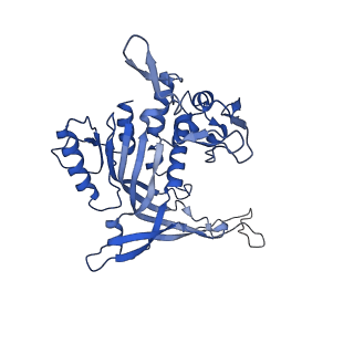 14244_7r21_M_v1-0
elongated Cascade complex from type I-A CRISPR-Cas system