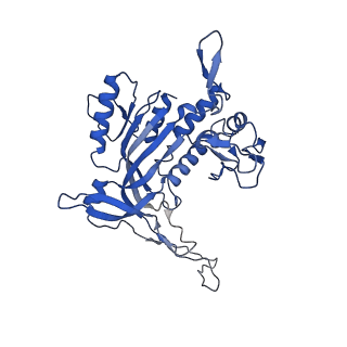 14244_7r21_N_v1-0
elongated Cascade complex from type I-A CRISPR-Cas system