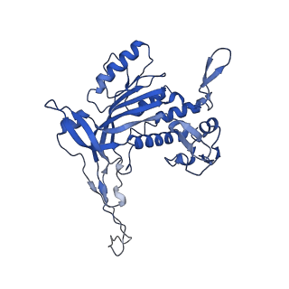 14244_7r21_O_v1-0
elongated Cascade complex from type I-A CRISPR-Cas system