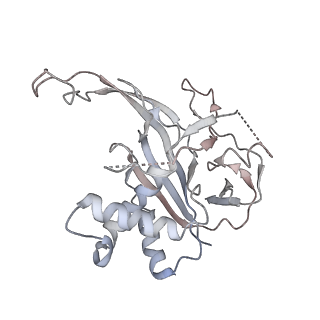 14244_7r21_P_v1-0
elongated Cascade complex from type I-A CRISPR-Cas system