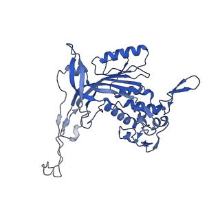 14244_7r21_Q_v1-0
elongated Cascade complex from type I-A CRISPR-Cas system